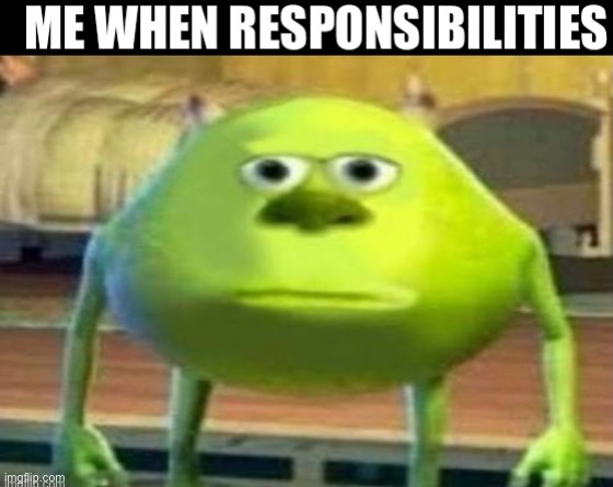 image tagged in bruh | made w/ Imgflip meme maker