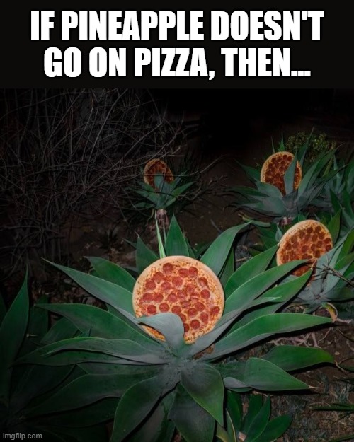 Pizza on Pineapple | IF PINEAPPLE DOESN'T GO ON PIZZA, THEN... | image tagged in funny,memes | made w/ Imgflip meme maker