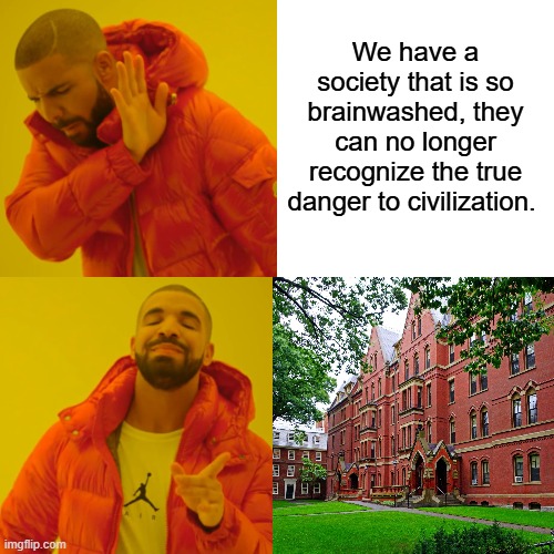 They no longer educate they indoctrinate, free thought is taken away | We have a society that is so brainwashed, they can no longer recognize the true danger to civilization. | image tagged in memes,drake hotline bling | made w/ Imgflip meme maker