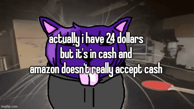 tge silly | actually i have 24 dollars but it's in cash and amazon doesn't really accept cash | image tagged in tge silly | made w/ Imgflip meme maker