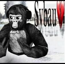 Gtag sybau 3 Blank Meme Template