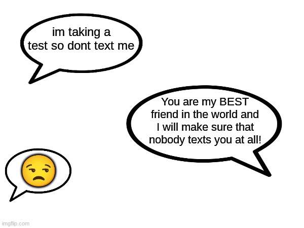 My friends be like: | im taking a test so dont text me; You are my BEST friend in the world and I will make sure that nobody texts you at all! 😒 | image tagged in texts,bruh | made w/ Imgflip meme maker