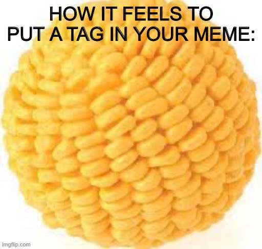 . | HOW IT FEELS TO PUT A TAG IN YOUR MEME: | made w/ Imgflip meme maker
