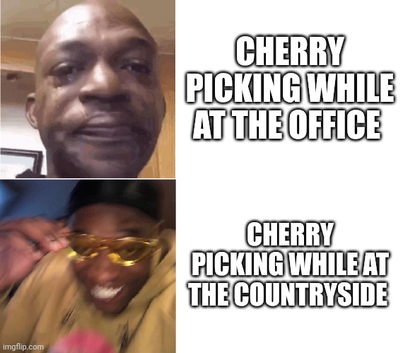 Then Now | CHERRY PICKING WHILE AT THE OFFICE CHERRY PICKING WHILE AT THE COUNTRYSIDE | image tagged in then now | made w/ Imgflip meme maker