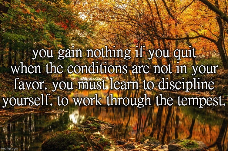 you gain nothing if you quit when the conditions are not in your favor. you must learn to discipline yourself. to work through the tempest. | made w/ Imgflip meme maker