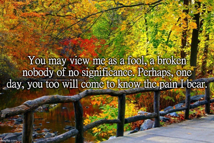 You may view me as a fool, a broken nobody of no significance. Perhaps, one day, you too will come to know the pain I bear. | made w/ Imgflip meme maker