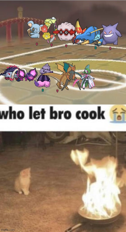Image tagged in who let bro cook - Imgflip