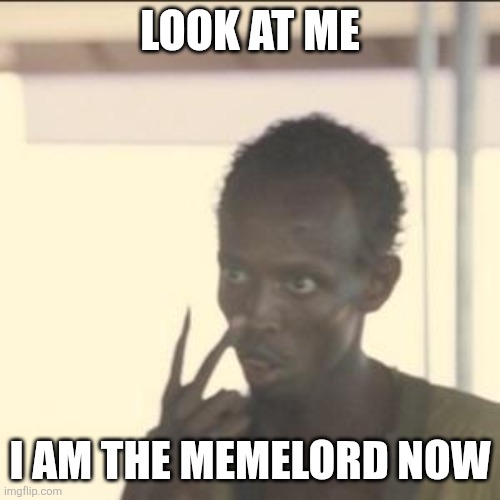 Look At Me | LOOK AT ME; I AM THE MEMELORD NOW | image tagged in memes,look at me | made w/ Imgflip meme maker