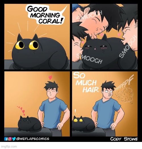 WeFlaps | image tagged in cats,weflaps,comics,coral,kissing,mouthful of hair | made w/ Imgflip meme maker