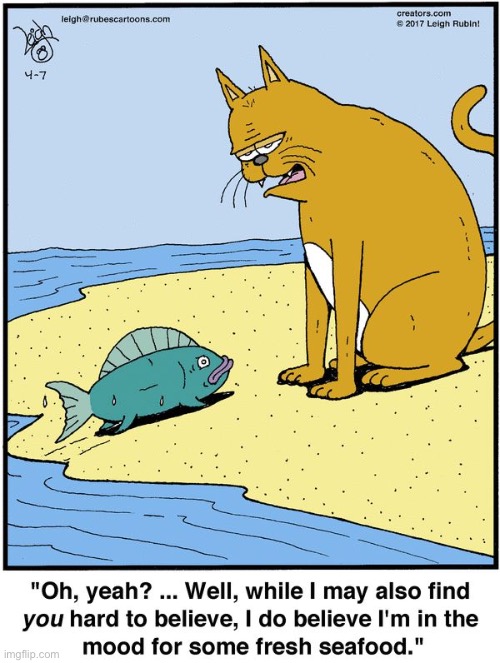 image tagged in cats,comics,rubes,fish,hard to believe,fresh seafood | made w/ Imgflip meme maker
