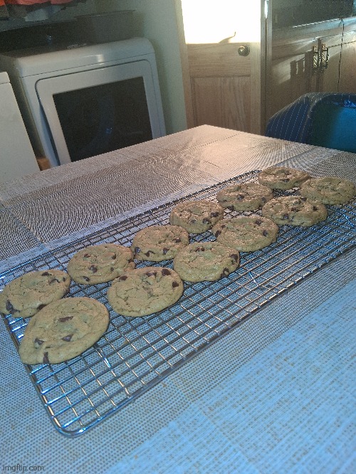 Bigbacktivities | made w/ Imgflip meme maker