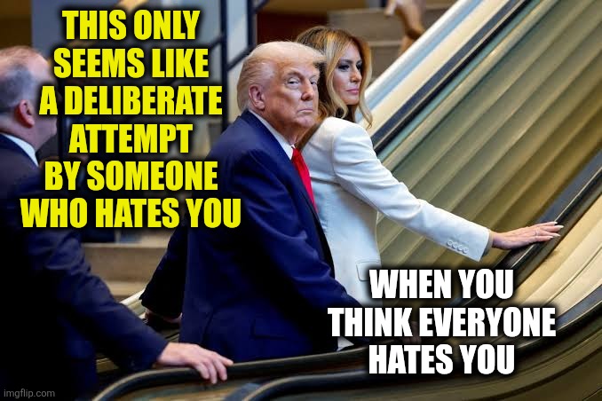 Everyone Hates Donny | THIS ONLY SEEMS LIKE A DELIBERATE ATTEMPT BY SOMEONE WHO HATES YOU; WHEN YOU THINK EVERYONE HATES YOU | image tagged in trump on stopped escalator | made w/ Imgflip meme maker