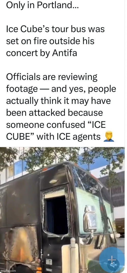 In Today's Clown World News | image tagged in antifa,good shot,fiery but mostly peaceful,task failed successfully,special kind of stupid,masked thugs | made w/ Imgflip meme maker