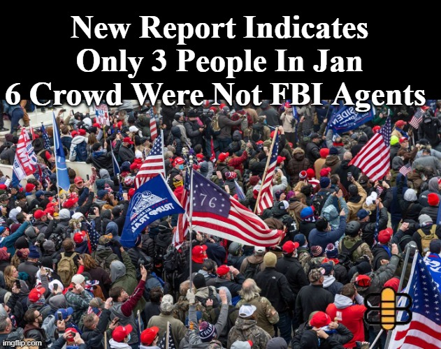 Wray had a lotta patronage jobs to sell | New Report Indicates Only 3 People In Jan 6 Crowd Were Not FBI Agents | image tagged in jan 6 fbi crowd meme | made w/ Imgflip meme maker