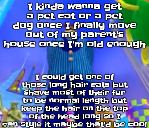 Aura farming | I could get one of those long hair cats but shave most of their fur to be normal length but keep the hair on the top of the head long so I can style it maybe that'd be cool; I kinda wanna get a pet cat or a pet dog once I finally move out of my parent's house once I'm old enough | image tagged in aura farming | made w/ Imgflip meme maker