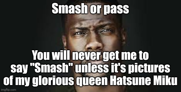 Kevin Hart Stare | Smash or pass; You will never get me to say "Smash" unless it's pictures of my glorious queen Hatsune Miku | image tagged in kevin hart stare | made w/ Imgflip meme maker