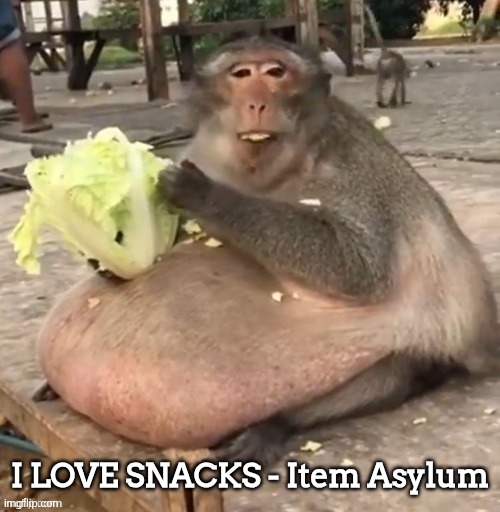 Fat monkey | I LOVE SNACKS - Item Asylum | image tagged in fat monkey,item asylum | made w/ Imgflip meme maker