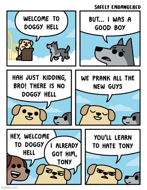 image tagged in dog,hell,heaven,good boy,dogs,tony | made w/ Imgflip meme maker