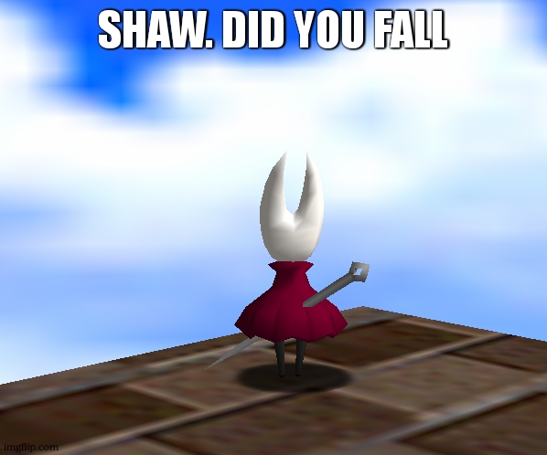 The hornet in sm64 | SHAW. DID YOU FALL | image tagged in the hornet in sm64 | made w/ Imgflip meme maker