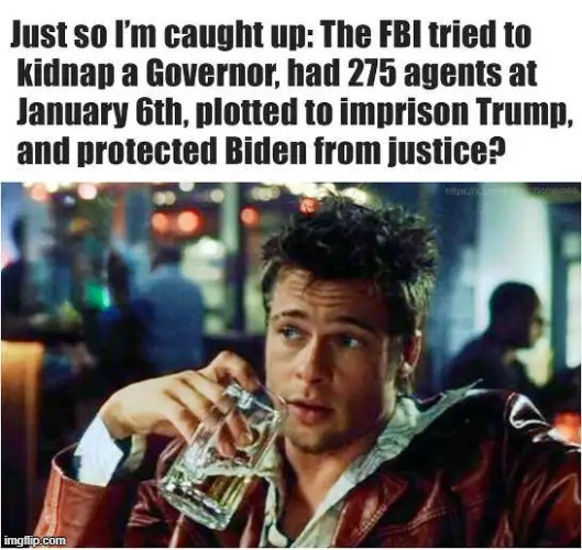 The Facts Are There. You Just Have to Be Smart Enough to See Them. | image tagged in the truth,january,6th,gretchen whitmer,joe biden,donald trump | made w/ Imgflip meme maker