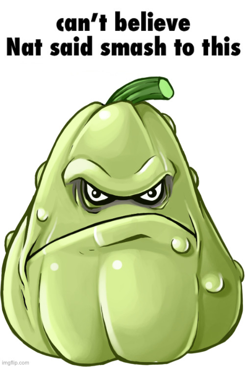 image tagged in can t believe nat said smash to this,bwomp | made w/ Imgflip meme maker