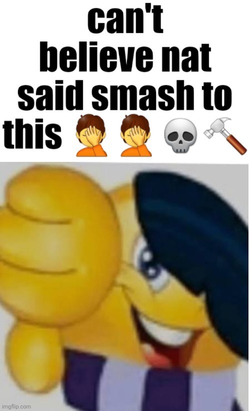 Can’t believe nat said smash to this | image tagged in can t believe nat said smash to this | made w/ Imgflip meme maker