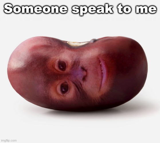 Primate | Someone speak to me | image tagged in primate | made w/ Imgflip meme maker