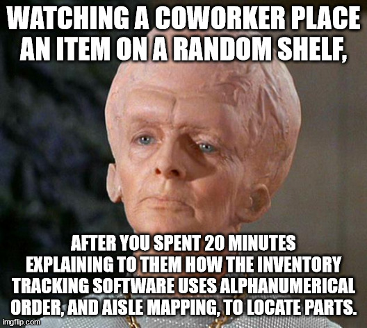 Inventory Struggles | WATCHING A COWORKER PLACE AN ITEM ON A RANDOM SHELF, AFTER YOU SPENT 20 MINUTES EXPLAINING TO THEM HOW THE INVENTORY TRACKING SOFTWARE USES ALPHANUMERICAL ORDER, AND AISLE MAPPING, TO LOCATE PARTS. | image tagged in big head,inventory,stocking,merchandising,retail | made w/ Imgflip meme maker