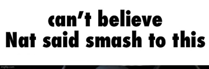 Can’t believe Nat said smash to this | image tagged in can t believe nat said smash to this | made w/ Imgflip meme maker