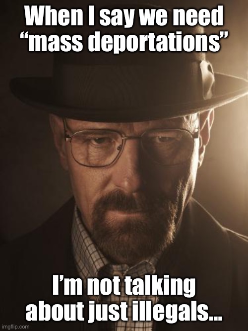 It’s a start… | When I say we need “mass deportations”; I’m not talking about just illegals… | image tagged in walter white,illegal immigration,trump | made w/ Imgflip meme maker