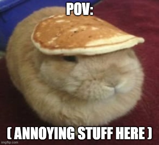 pancake on a bunny meme | POV:; ( ANNOYING STUFF HERE ) | made w/ Imgflip meme maker