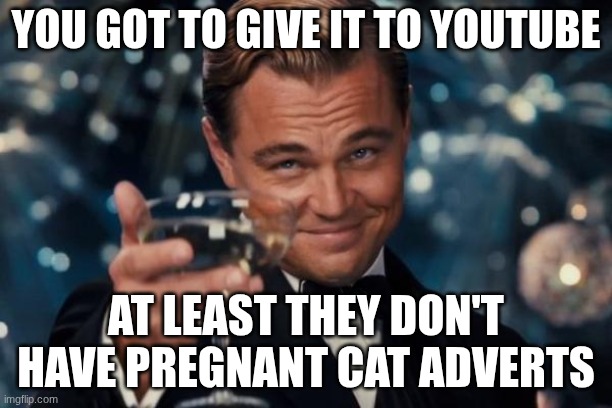 the only good thing about youtube | YOU GOT TO GIVE IT TO YOUTUBE; AT LEAST THEY DON'T HAVE PREGNANT CAT ADVERTS | image tagged in memes,leonardo dicaprio cheers,youtube | made w/ Imgflip meme maker