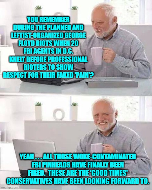 I remember almost puking when I saw those clown-world WOKE FBI agents doing that. | YOU REMEMBER DURING THE PLANNED AND LEFTIST-ORGANIZED GEORGE FLOYD RIOTS WHEN 20 FBI AGENTS IN D.C. KNELT BEFORE PROFESSIONAL RIOTERS TO SHOW RESPECT FOR THEIR FAKED 'PAIN'? YEAH . . . ALL THOSE WOKE-CONTAMINATED FBI PINHEADS HAVE FINALLY BEEN FIRED.  THESE ARE THE 'GOOD TIMES' CONSERVATIVES HAVE BEEN LOOKING FORWARD TO. | image tagged in hide the pain harold | made w/ Imgflip meme maker