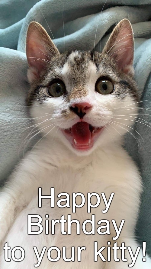 Happy Birthday
to your kitty! | made w/ Imgflip meme maker