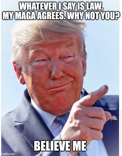 Trump pointing | WHATEVER I SAY IS LAW. MY MAGA AGREES. WHY NOT YOU? BELIEVE ME | image tagged in trump pointing | made w/ Imgflip meme maker