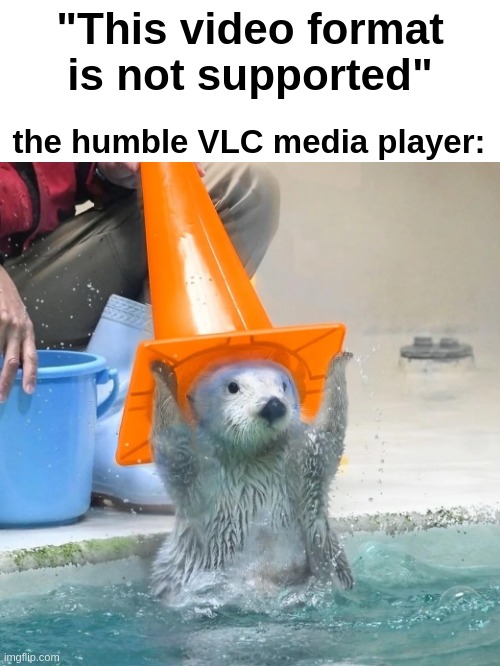 VLC Supremacy | "This video format is not supported"; the humble VLC media player: | image tagged in vlc,mediaplayer,video,player,free and open source | made w/ Imgflip meme maker