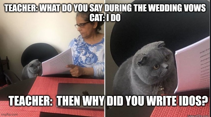 idOS network | TEACHER: WHAT DO YOU SAY DURING THE WEDDING VOWS

CAT: I DO; TEACHER:  THEN WHY DID YOU WRITE IDOS? | image tagged in then why did you write | made w/ Imgflip meme maker