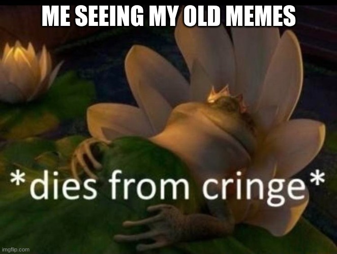 NOOOOOOO | ME SEEING MY OLD MEMES | image tagged in dies of cringe,y u no,old memes,imgflip | made w/ Imgflip meme maker