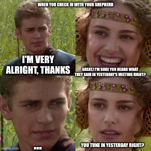 the Lord's sheep | WHEN YOU CHECK IN WITH YOUR SHEPHERD; I'M VERY ALRIGHT, THANKS; GREAT,! I'M SURE YOU HEARD WHAT THEY SAID IN YESTERDAY'S MEETING RIGHT? ... YOU TUNE IN YESTERDAY RIGHT? | image tagged in anakin padme 4 panel | made w/ Imgflip meme maker