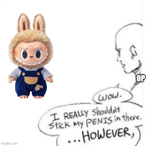 OP | image tagged in wow i really shouldn't stick my- | made w/ Imgflip meme maker