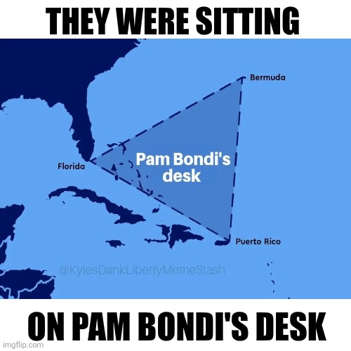 Blank Transparent Square Meme | THEY WERE SITTING ON PAM BONDI'S DESK | image tagged in memes,blank transparent square | made w/ Imgflip meme maker