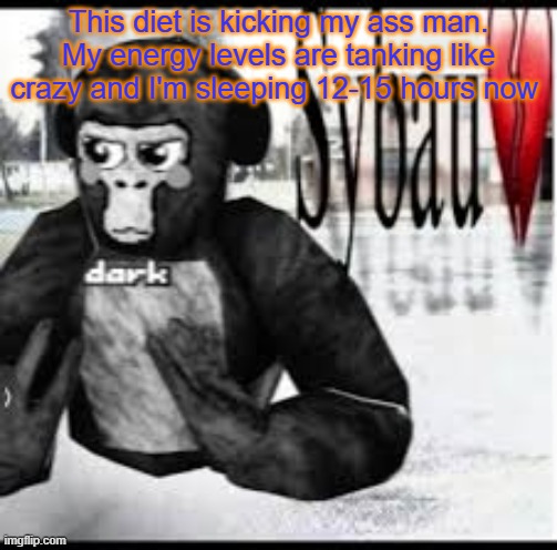 Gtag sybau 3 | This diet is kicking my ass man. My energy levels are tanking like crazy and I'm sleeping 12-15 hours now | image tagged in gtag sybau 3 | made w/ Imgflip meme maker
