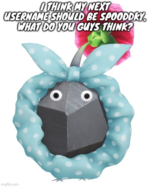 Scrunchie rock pikmin | I THINK MY NEXT USERNAME SHOULD BE SPOODDKY. WHAT DO YOU GUYS THINK? | image tagged in scrunchie rock pikmin | made w/ Imgflip meme maker