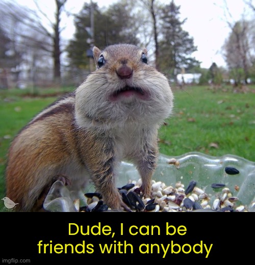 Dude, I can be friends with anybody | made w/ Imgflip meme maker