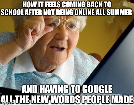My punishment for having a good summer | HOW IT FEELS COMING BACK TO SCHOOL AFTER NOT BEING ONLINE ALL SUMMER; AND HAVING TO GOOGLE ALL THE NEW WORDS PEOPLE MADE | image tagged in old lady at computer | made w/ Imgflip meme maker