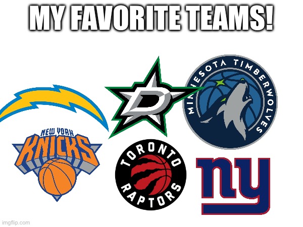 MY FAVORITE TEAMS! | image tagged in sports fans | made w/ Imgflip meme maker