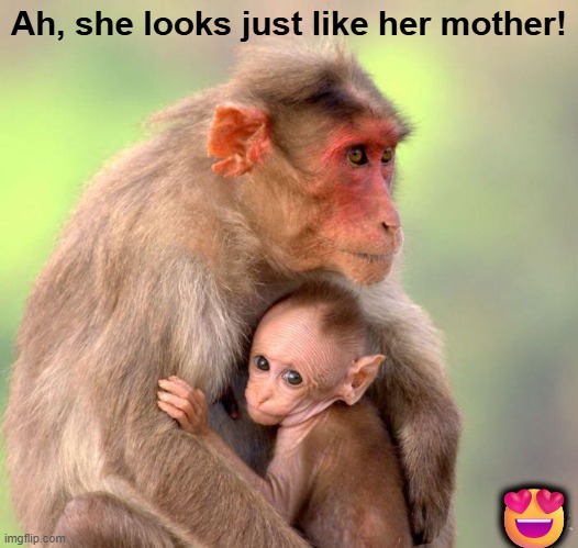Mothers & Daughters | Ah, she looks just like her mother! 😍 | image tagged in mother,daughter,love,adorable,monkeys,family life | made w/ Imgflip meme maker