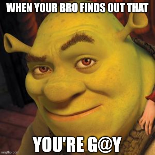 Shrek Sexy Face | WHEN YOUR BRO FINDS OUT THAT; YOU'RE G@Y | image tagged in shrek sexy face | made w/ Imgflip meme maker
