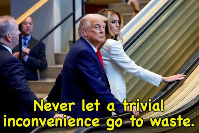 It stopped!!! Aaaagggghhhh!!!! | Never let a trivial inconvenience go to waste. | image tagged in trump on stopped escalator | made w/ Imgflip meme maker