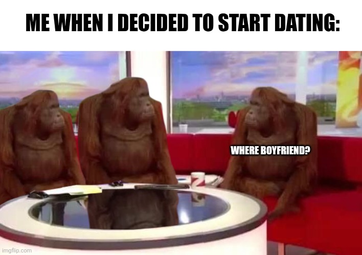 I can't flirt for anything | ME WHEN I DECIDED TO START DATING:; WHERE BOYFRIEND? | image tagged in where monkey,dating sucks,dating,flirting,help me | made w/ Imgflip meme maker